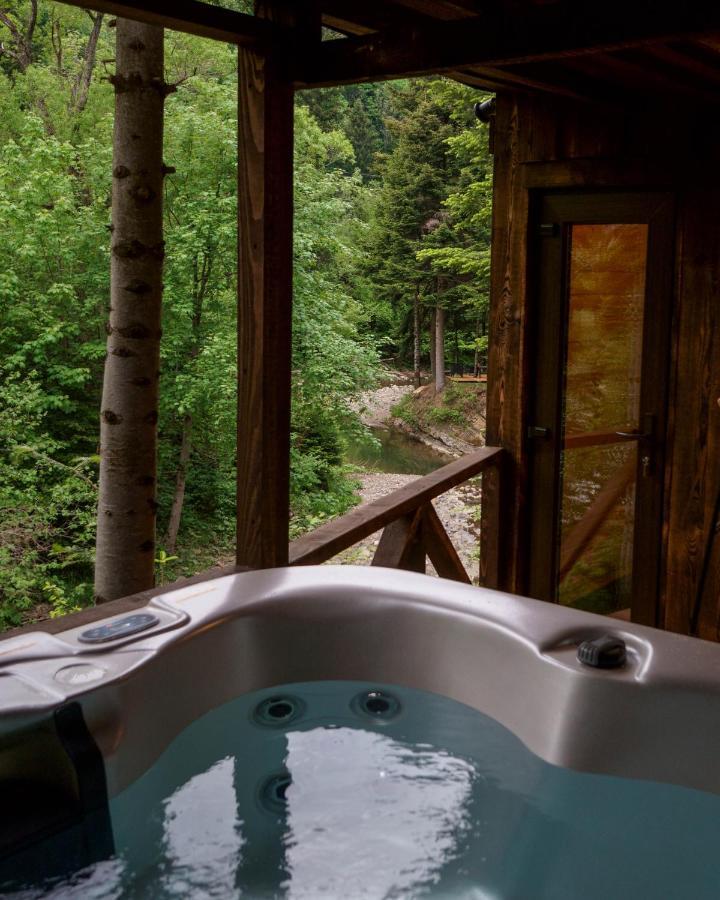 Novosiele Residence - Nad Gorska Rzeka - Lesne Spa Sauna Jacuzzi - Bieszczady Bystre  Екстериор снимка
